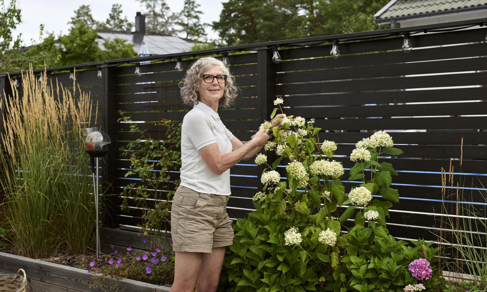 Senior gardening in backyard